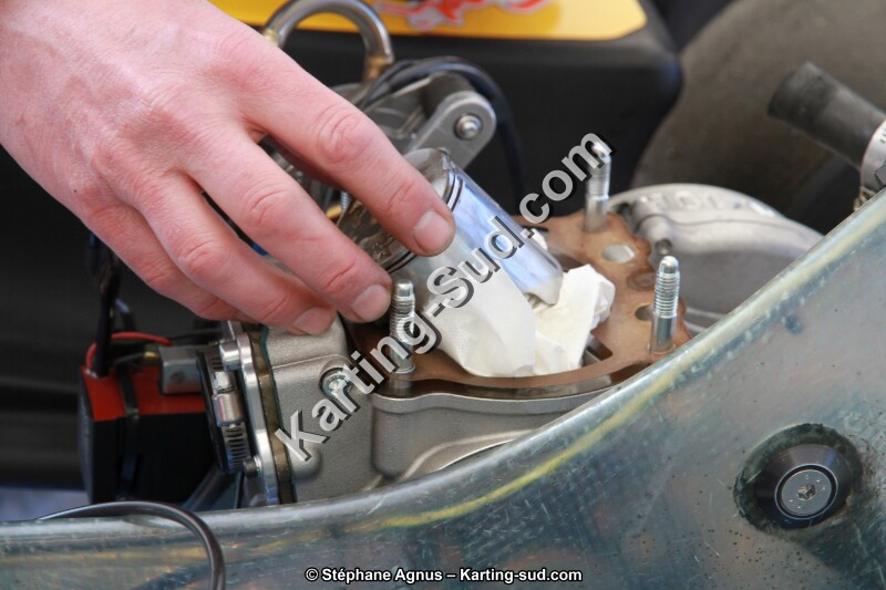 20140316-lavelanet-agnus 059.JPG